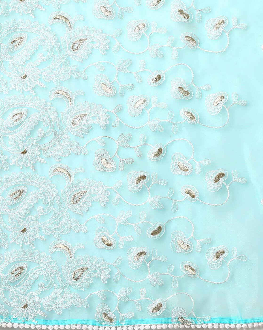 -1117Wx1400H-467334583-blue-MODEL5 Women Organza Saree with Paisley Embroidered Border - Image 5