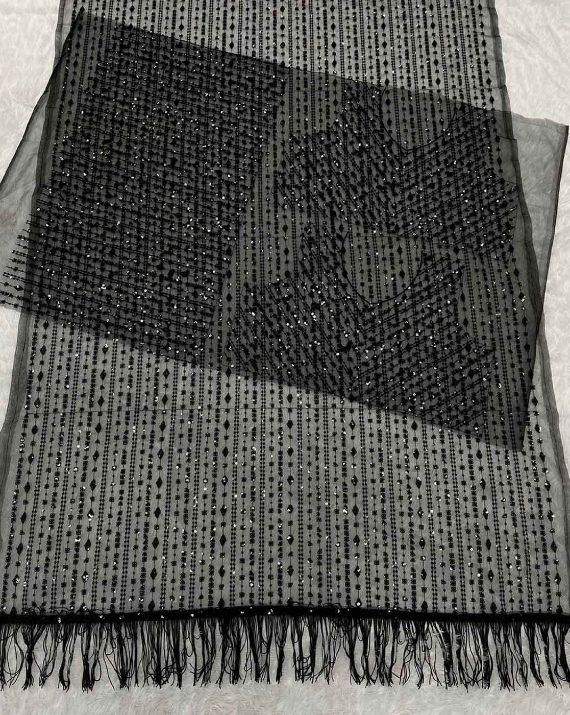 -1117Wx1400H-466562702-black-MODEL4 Embroidered Net Saree with Tassels - Image 4